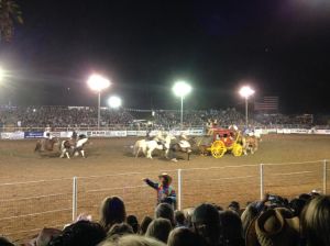 rodeoshow